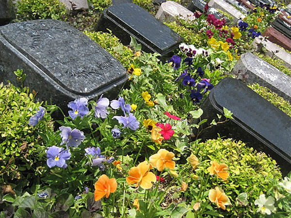 ガーデニング樹木葬